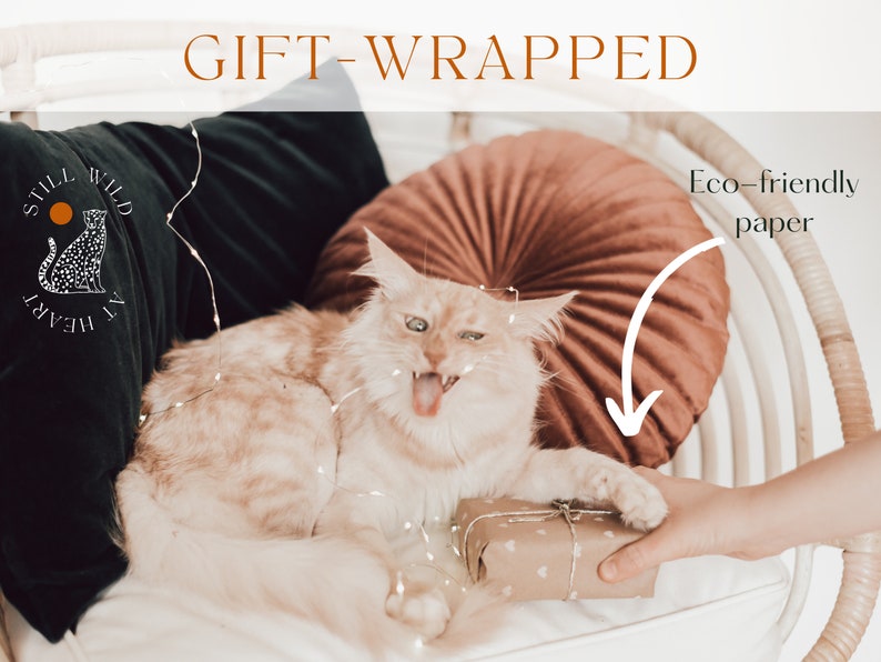 Magnifique hamac chat en macramé écru fait main avec coussin - lit pour chat, balançoire pour chat - Cadeau pour chat - Cadeau pour propriétaire de chat - Décoration bohème, boho chic, hippie